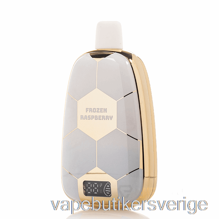 Vape Sverige Ronaldinho 10 15k Engångs Frysta Hallon